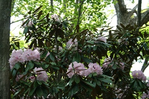 f0193521_8282313.jpg