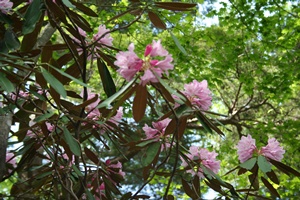 f0193521_828455.jpg