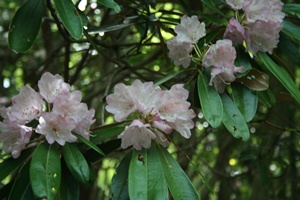 f0193521_828738.jpg