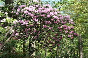 f0193521_829224.jpg