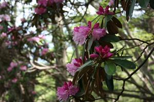 f0193521_8293696.jpg