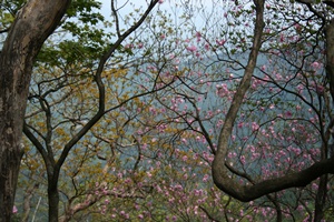 f0193521_8325288.jpg