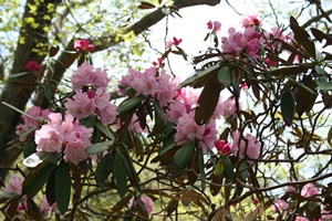 f0193521_8351161.jpg