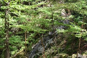f0193521_8374098.jpg