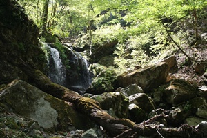 祖母山～メンノツラ谷～八丁越登山口_f0193521_8381211.jpg