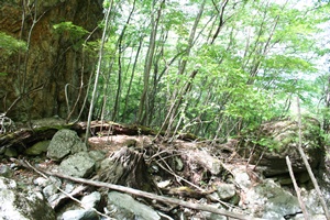 祖母山～メンノツラ谷～八丁越登山口_f0193521_8382355.jpg