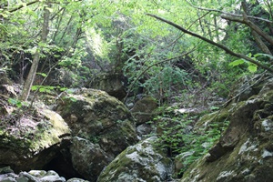 f0193521_8383846.jpg