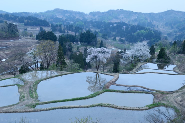 儀明の棚田 ～桜～_d0319222_1317613.jpg