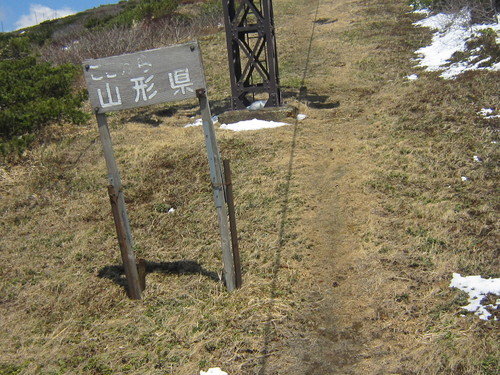 d0162225_1155532.jpg