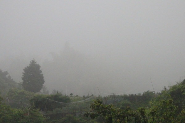 a0054240_22404170.jpg