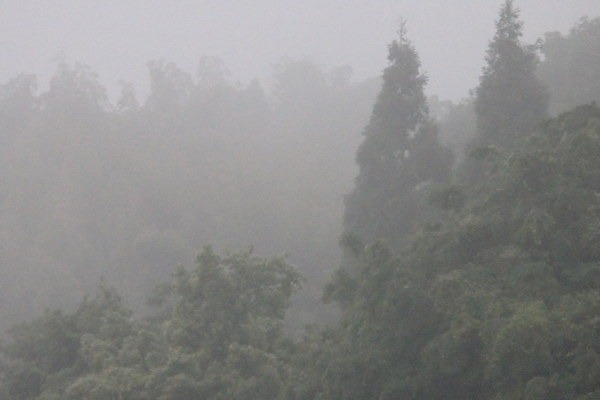 a0054240_22415170.jpg