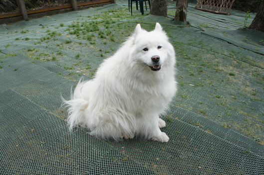 f0128542_1788.jpg