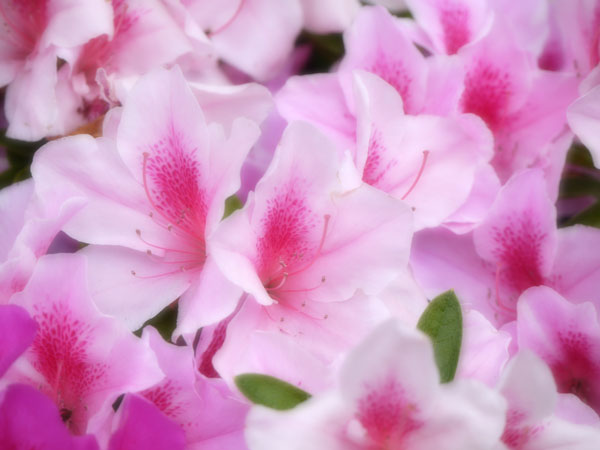 b0048744_13194476.jpg