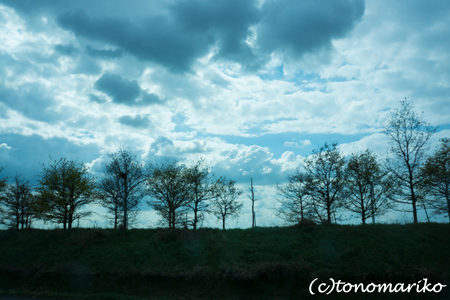 フランスの美しい田舎の風景_c0024345_829980.jpg