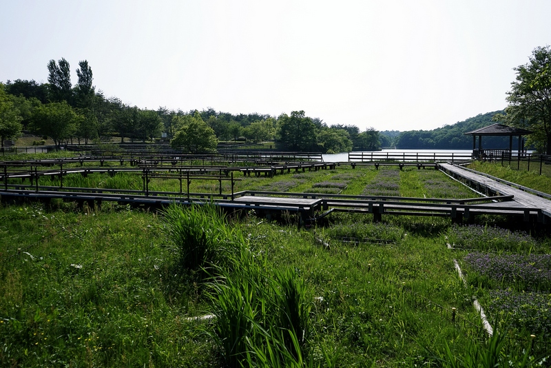 f0323351_10455235.jpg