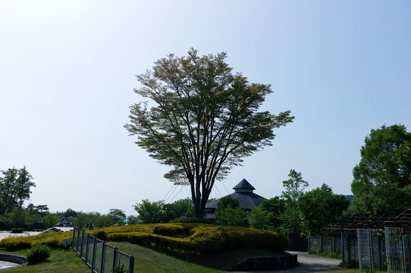 f0323351_10501125.jpg