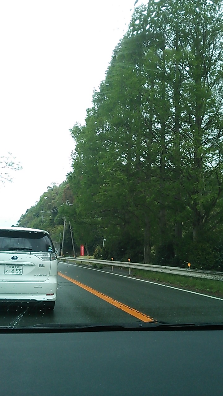 c0073152_014551.jpg