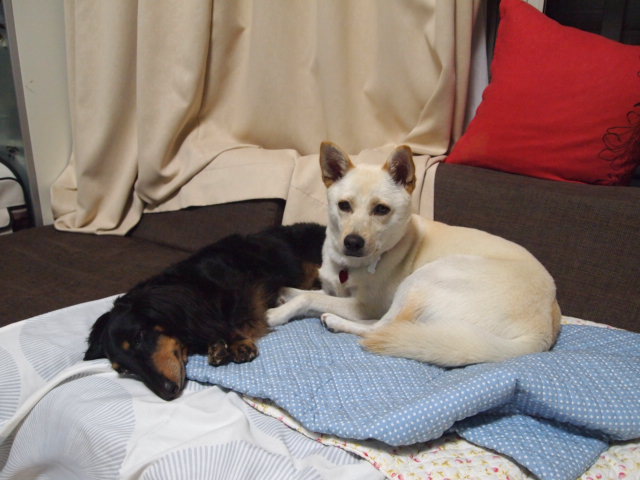 c0299657_12261620.jpg