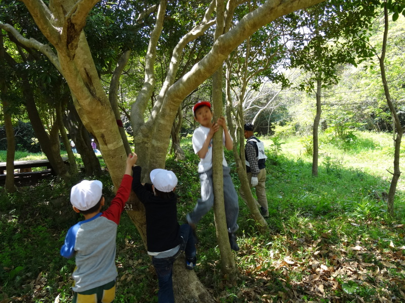 多奈川小学校１・２年生遠足のお礼のお便りが届きました_c0108460_11340495.jpg