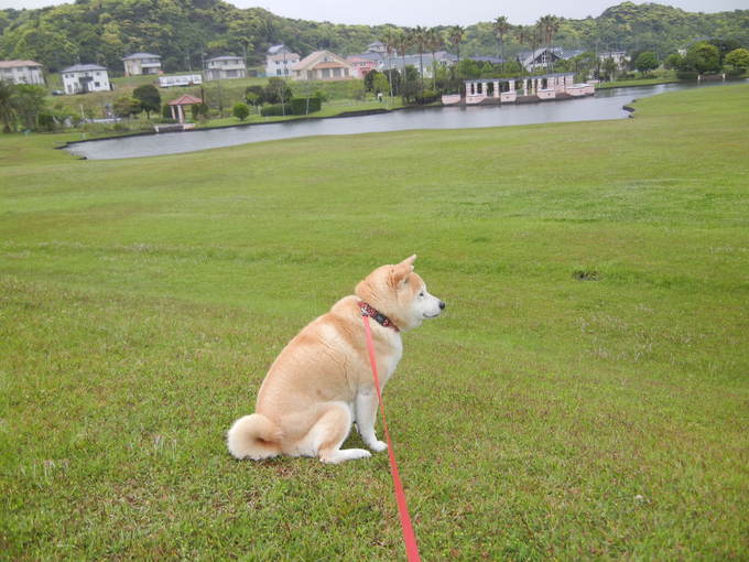 ’14,5,15(木)母のお見送りをしてきます_f0060461_8423357.jpg
