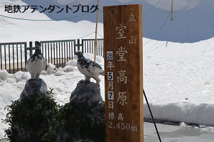 アルペンルート室堂へGO!_a0243562_14393872.jpg