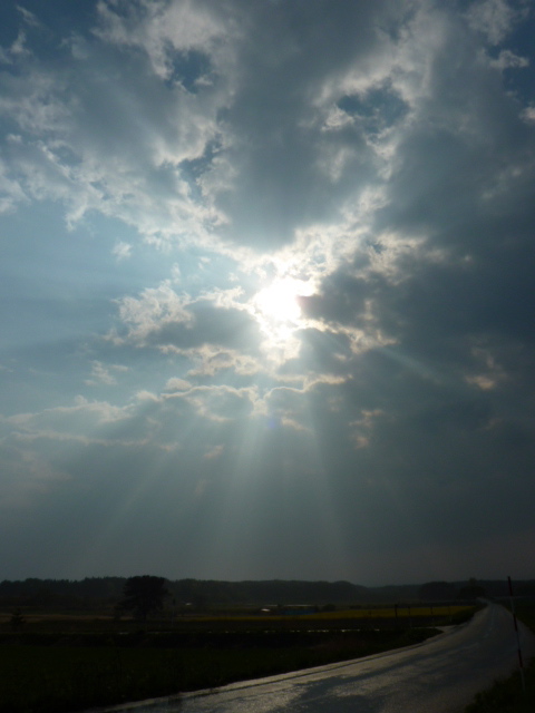 ５月の空と黄色_c0156162_147384.jpg