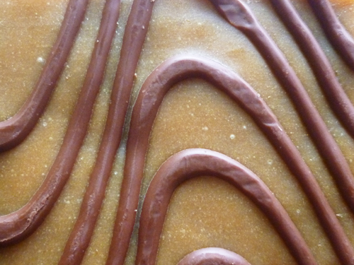 Luna Bar Caramel Nut Brownie_c0152767_2133968.jpg