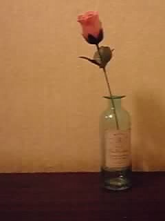 e0197983_9252888.jpg