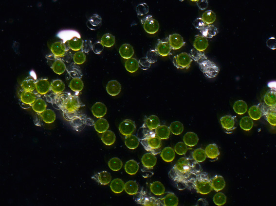 d0163696_07210296.jpg