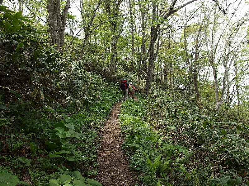 藻岩山、5月15日_f0138096_2293860.jpg