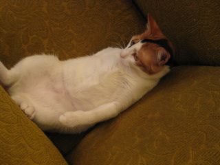 a0178302_20113267.jpg