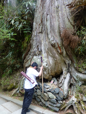 四国八十八ケ所を巡る旅 結願の日_f0126903_1485451.jpg