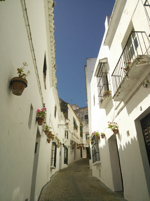 c0212604_19505917.jpg