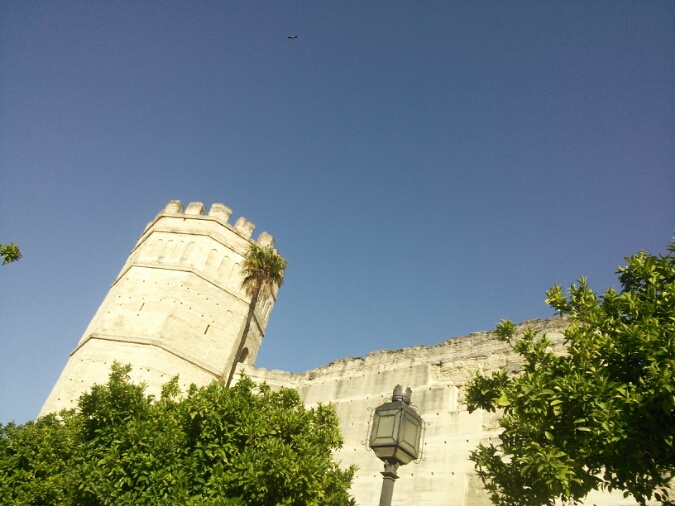 c0212604_7144233.jpg
