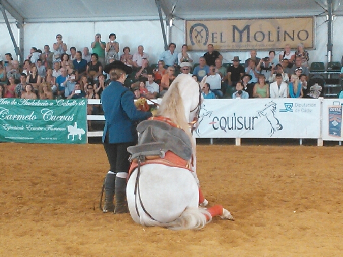 c0212604_8461091.jpg