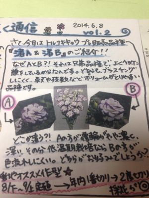 なおの花咲く通信来ました。_d0099708_812351.jpg