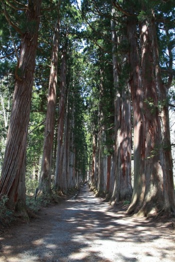 戸隠 善光寺 懐かしい長野市巡り _e0000910_12343069.jpg