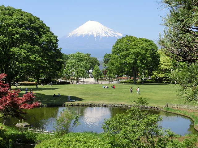 風がさわやか! 30年が経過し、風格が備わった富士中央公園_f0141310_738573.jpg