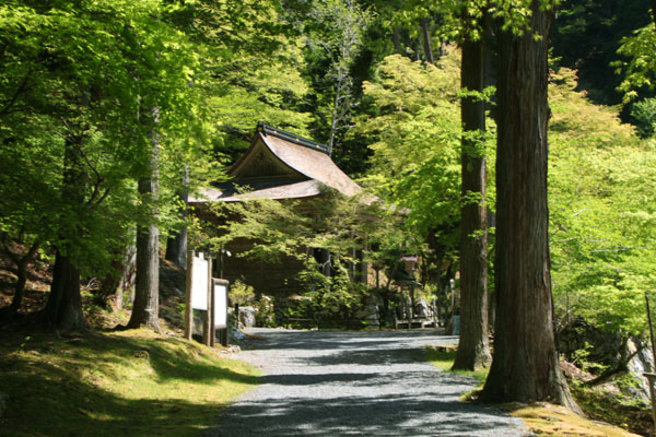 花背 大悲山峰定寺_e0048413_2056585.jpg