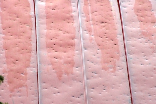 e0062415_2092965.jpg
