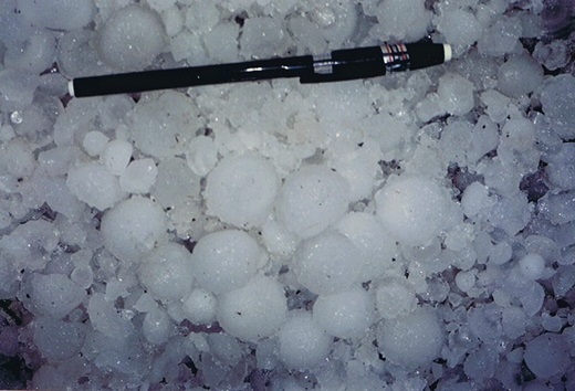 e0062415_209710.jpg