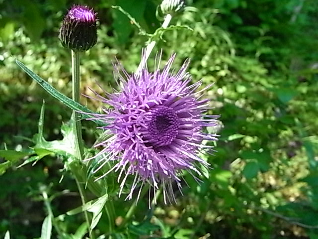 f0341616_5475062.jpg