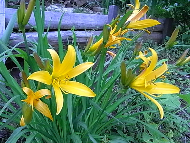 f0341616_550636.jpg