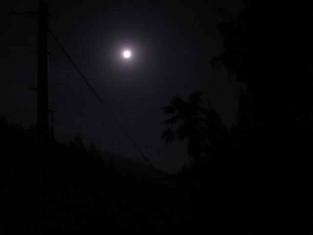 f0341616_5561627.jpg