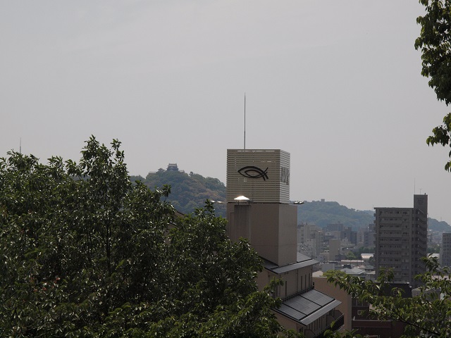 e0303726_1602345.jpg