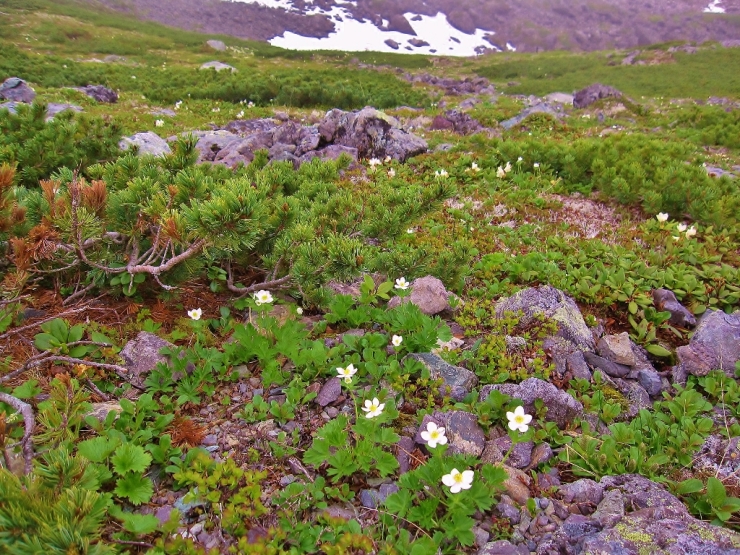 b0321833_19171108.jpg
