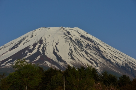 c0314839_20200227.jpg