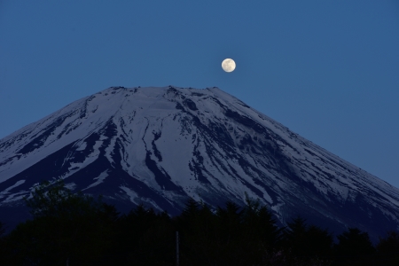 2014年5月13日　富士ケ嶺　パール富士_c0314839_20202832.jpg