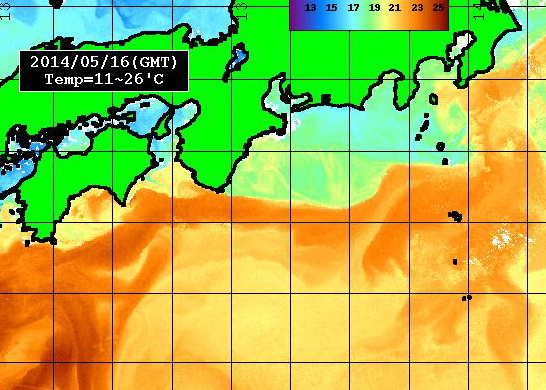 今週末のフィールド情報は・・・！【カジキ・マグロトローリング】_f0009039_17151422.jpg