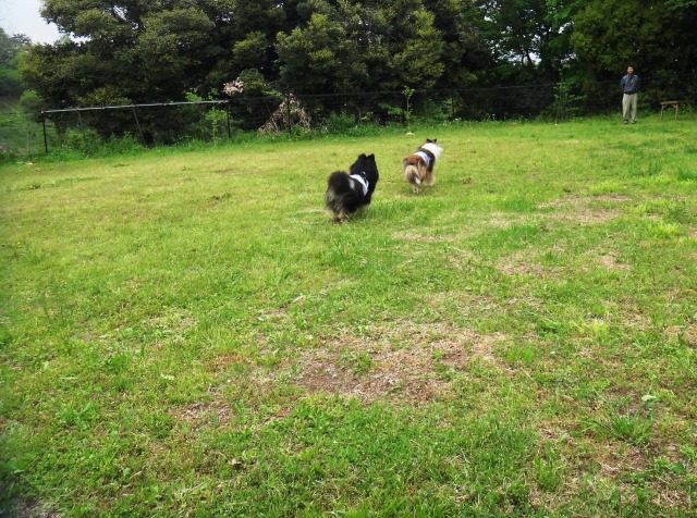 GW続きと5月の楽しみ_e0195743_135771.jpg